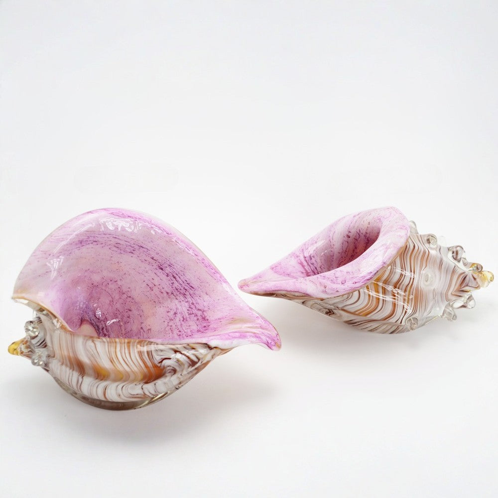Two pink and white seashells on a white background